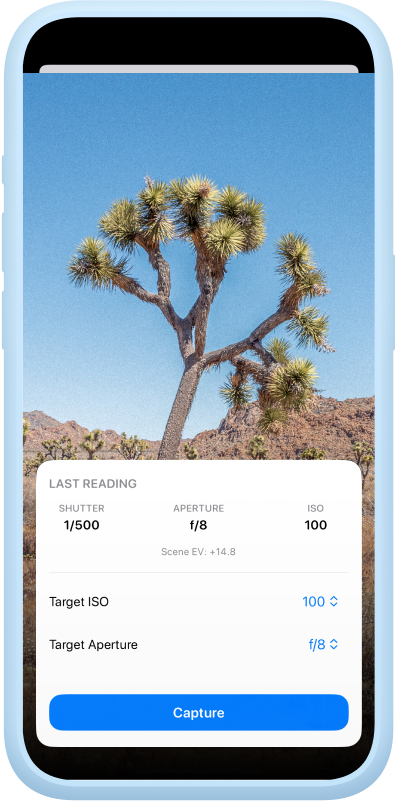 Screenshot of the Albums detail view